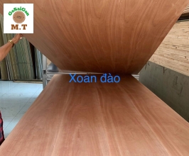 VÁN GỖ GHÉP CAO SU PHỦ VENEER XOAN ĐÀO