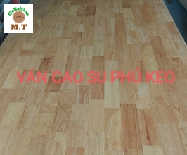 Ván cao su phủ keo 