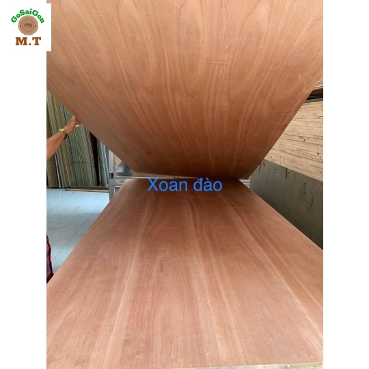 VÁN GỖ GHÉP CAO SU PHỦ VENEER XOAN ĐÀO